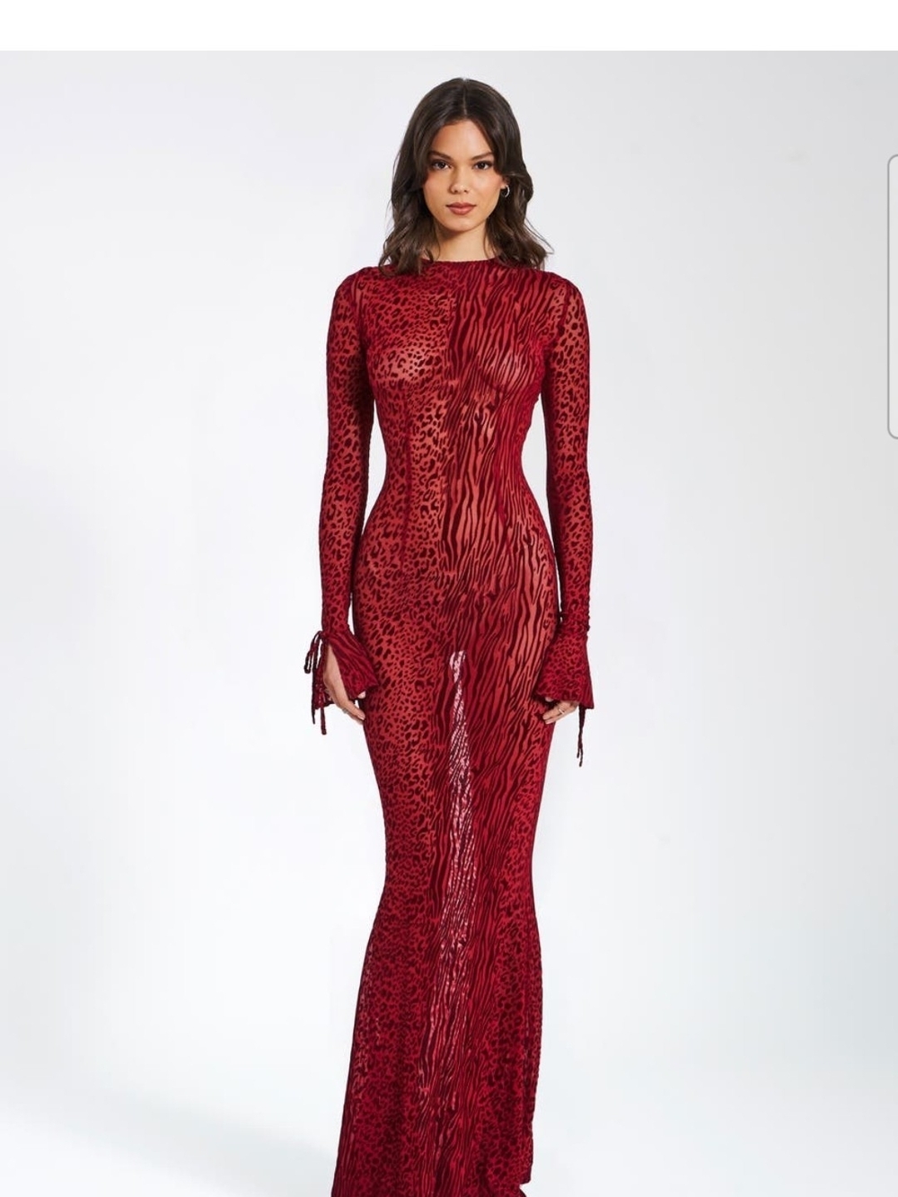 Waylynn Burnout Velvet Detail Mesh Backless Maxi Dress